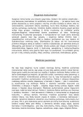 Muzikiniai instrumentai 2 puslapis
