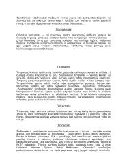 Muzikiniai instrumentai 11 puslapis
