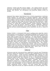 Muzikiniai instrumentai 12 puslapis