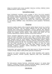 Muzikiniai instrumentai 13 puslapis