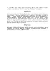 Muzikiniai instrumentai 14 puslapis