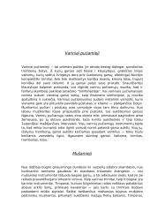Muzikiniai instrumentai 3 puslapis