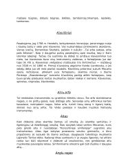 Muzikiniai instrumentai 4 puslapis