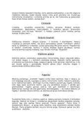 Muzikiniai instrumentai 6 puslapis