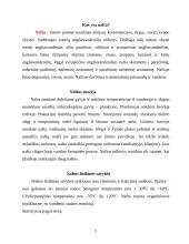 Nafta – strateginė medžiaga 2 puslapis