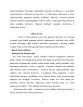 Nafta – strateginė medžiaga 5 puslapis