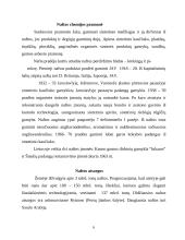 Nafta – strateginė medžiaga 6 puslapis