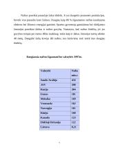 Nafta – strateginė medžiaga 7 puslapis