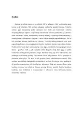 Nemuno gynybinė sistema XIII amžiaus pabaigoje - XIV amžiaus pradžioje 2 puslapis