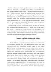Nemuno gynybinė sistema XIII amžiaus pabaigoje - XIV amžiaus pradžioje 5 puslapis