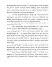 Neolitas. Nemuno ir Narvos kultūros 2 puslapis