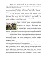 Neolitas. Nemuno ir Narvos kultūros 3 puslapis