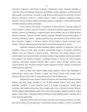 Neolitas. Nemuno ir Narvos kultūros 4 puslapis