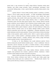 Neolitas. Nemuno ir Narvos kultūros 5 puslapis