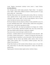 Nigerijos gamtinė geografija 2 puslapis