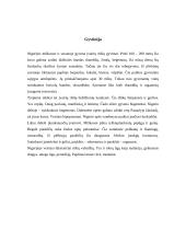 Nigerijos gamtinė geografija 3 puslapis