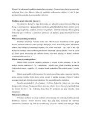 Norvegijos pradinio ugdymo sistema 5 puslapis