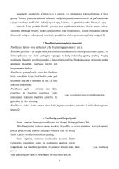 Nuošliaužos 2 puslapis