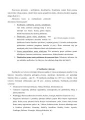 Nuošliaužos 4 puslapis