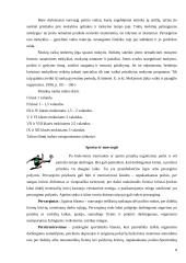 Nuovargis, jo rūšys ir diagnostika 8 puslapis