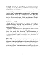 Oda — žarnyno veiklos atspindys 4 puslapis