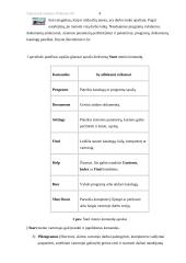 Operacinė sistema Windows 95 5 puslapis