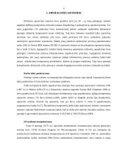 Žmogaus santykis su operacine sistema 4 puslapis