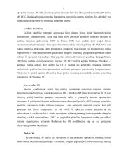 Žmogaus santykis su operacine sistema 5 puslapis