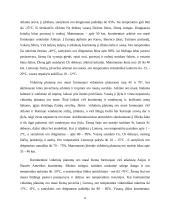 Orų masės ir jų įtaka Lietuvos klimatui 6 puslapis