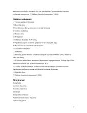 Osteoporozė 4 puslapis