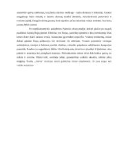 Pakruojo dvaras 6 puslapis