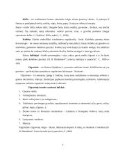 Panevėžio apskrities dvarų rekreacija seniau ir dabar 4 puslapis