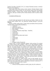 Pasaulio gamtinių išteklių klasifikacija 7 puslapis