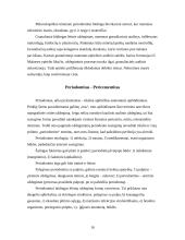 Paveldimos odontologinės ligos 10 puslapis