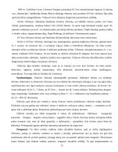 Per vandenį plintančios bakterinės ligos 12 puslapis