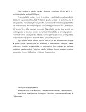 Periferinių plaučių navikų rentgenodiagnostika 2 puslapis