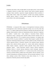 Perkaitimas 2 puslapis