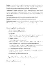 Perkaitimas 5 puslapis