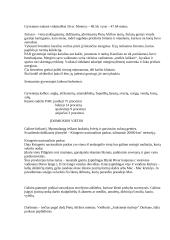 Pietų Afrikos Respublika 3 puslapis