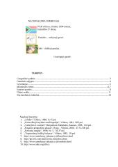 Pietų Afrikos Respublika 5 puslapis