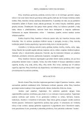 Pietų Amerikos mitybos ypatumai 2 puslapis