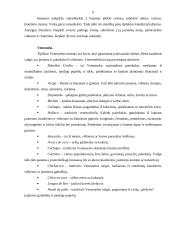 Pietų Amerikos mitybos ypatumai 7 puslapis