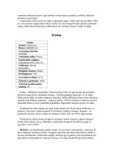 Pietvakarių Azija 12 puslapis