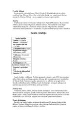 Pietvakarių Azija 13 puslapis