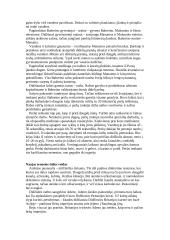 Pietvakarių Azija 6 puslapis