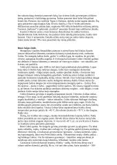 Pietvakarių Azija 8 puslapis