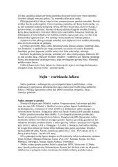 Pietvakarių Azija 9 puslapis