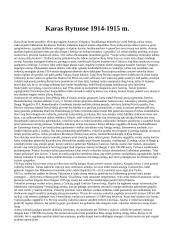 Pirmojo pasaulinio karo raida 4 puslapis