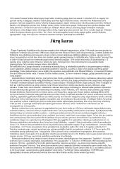 Pirmojo pasaulinio karo raida 5 puslapis