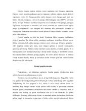 Pirmoji pagalba 4 puslapis